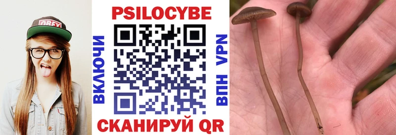 даркнет сайт  Усть-Кут  Псилоцибиновые грибы мицелий 
